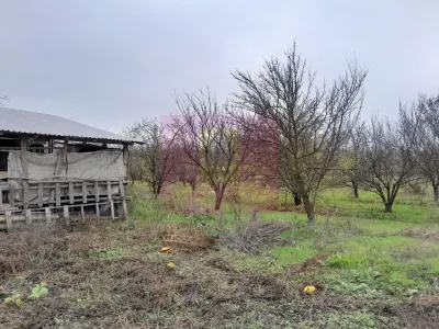 Casă 3 camere Barcanesti - poza 55