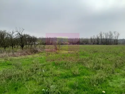 Casă 3 camere Barcanesti - poza 57