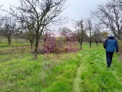 Casă 3 camere Barcanesti - poza 60