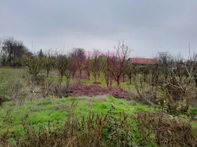 Casă 3 camere Barcanesti - poza 61