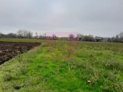 Casă 3 camere Barcanesti - poza 63