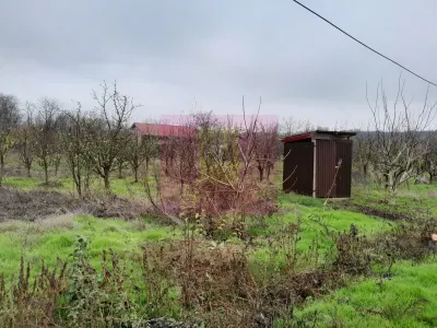 Casă 3 camere Barcanesti - poza 65
