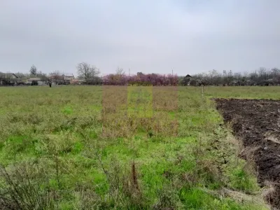 Casă 3 camere Barcanesti - poza 66