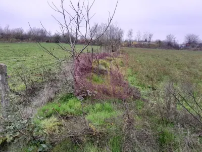 Casă 3 camere Barcanesti - poza 67