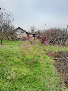 Casă 3 camere Barcanesti - poza 69