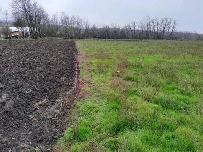 Casă 3 camere Barcanesti - poza 72