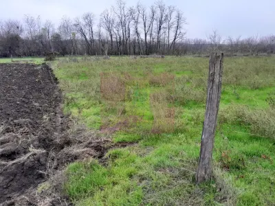 Casă 3 camere Barcanesti - poza 74