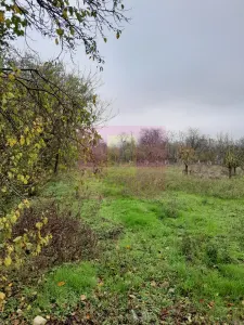 Casă 3 camere Barcanesti - poza 75