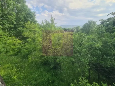 Casă 6 camere Cornu de Jos (Cornu) - poza 43