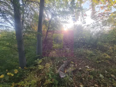 Teren intravilan de vanzare in Telega - Telega