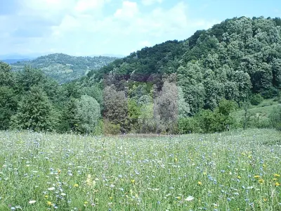 Teren Telega - poza 7