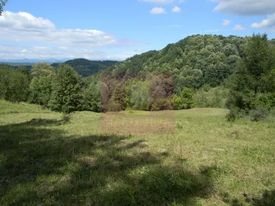 Teren Telega - poza 8