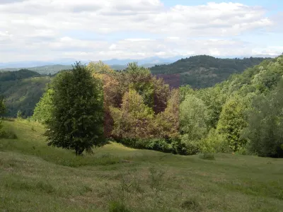Teren Telega - poza 9