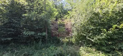 Teren intravilan de vanzare in Lunca Mare (la 10 km de Valea Doftanei) - Lunca Mare