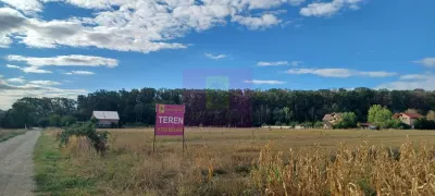 Gulia teren 11.157 mp, lângă Pădurea Cereanca - Gulia