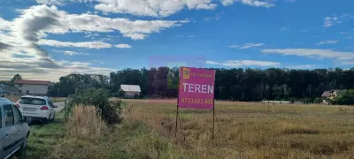 Teren Gulia - poza 2