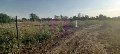 Teren Sabareni - poza 3