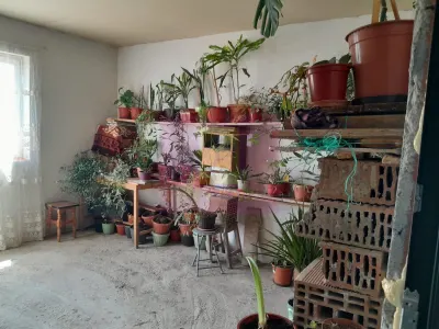 Casă 4 camere Varasti - poza 41