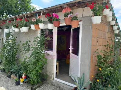 Casă 4 camere Varasti - poza 44