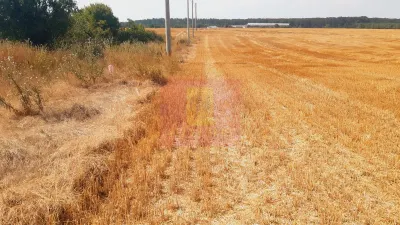 Teren Brănești - poza 2