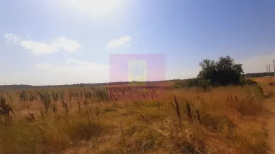Teren Brănești - poza 13