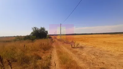 Teren Brănești - poza 14