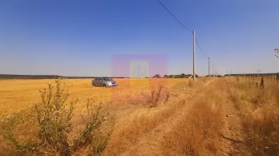 Teren Brănești - poza 15