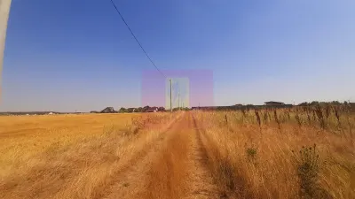 Teren Brănești - poza 5