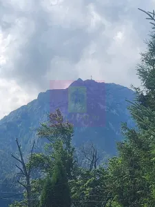 Casă 7 camere Bușteni - poza 2