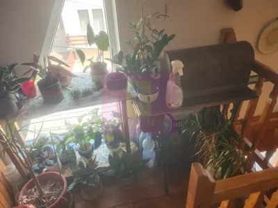 Casă 7 camere Bușteni - poza 23