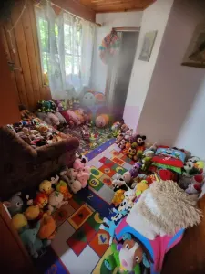 Casă 7 camere Bușteni - poza 28