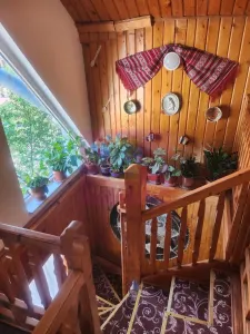 Casă 7 camere Bușteni - poza 46