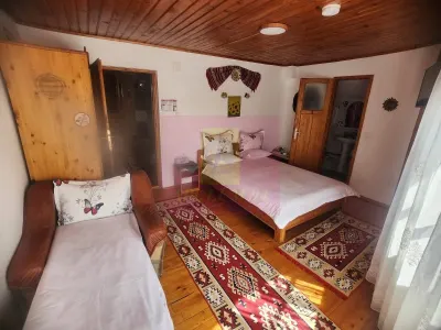 Casă 7 camere Bușteni - poza 9