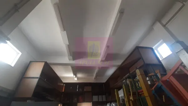 Casă 7 camere Voluntari - poza 21