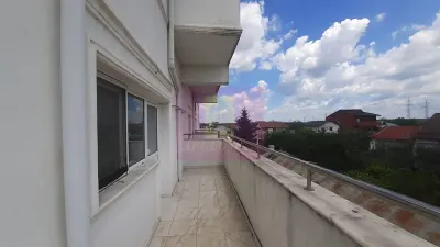 Casă 7 camere Voluntari - poza 34