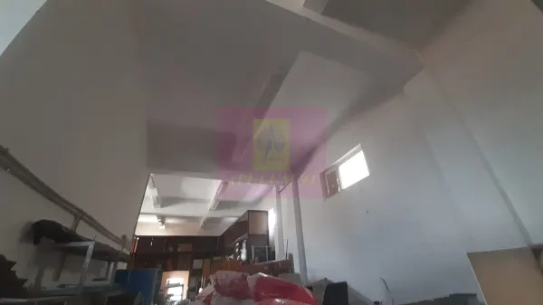 Casă 7 camere Voluntari - poza 35