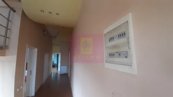 Casă 7 camere Voluntari - poza 6