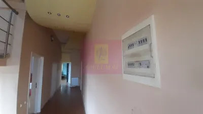 Casă 7 camere Voluntari - poza 6