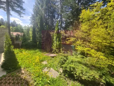 Casă 9 camere Predeal - poza 75
