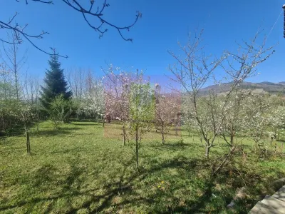 Casă 5 camere Comarnic - poza 38