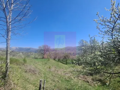 Casă 5 camere Comarnic - poza 44