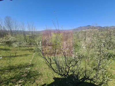 Casă 5 camere Comarnic - poza 47