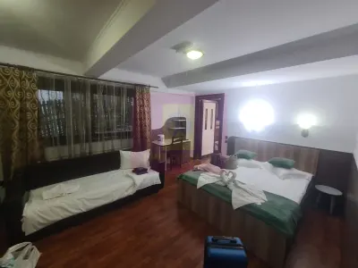 Hotel/Pensiune Sinaia - poza 11