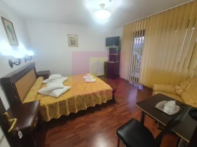 Hotel/Pensiune Sinaia - poza 4