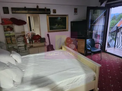 Hotel/Pensiune Sinaia - poza 64