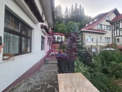 Hotel/Pensiune Sinaia - poza 68