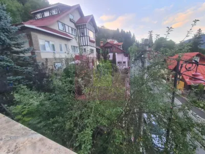 Hotel/Pensiune Sinaia - poza 70