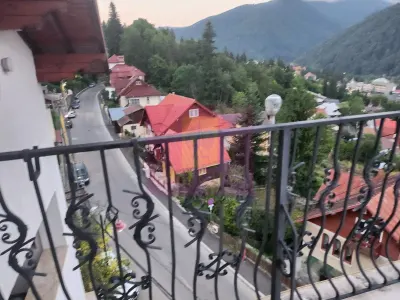 Hotel/Pensiune Sinaia - poza 71