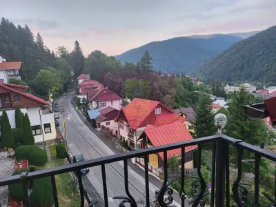 Hotel/Pensiune Sinaia - poza 78