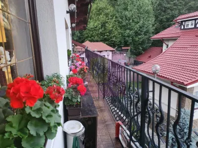 Hotel/Pensiune Sinaia - poza 80
